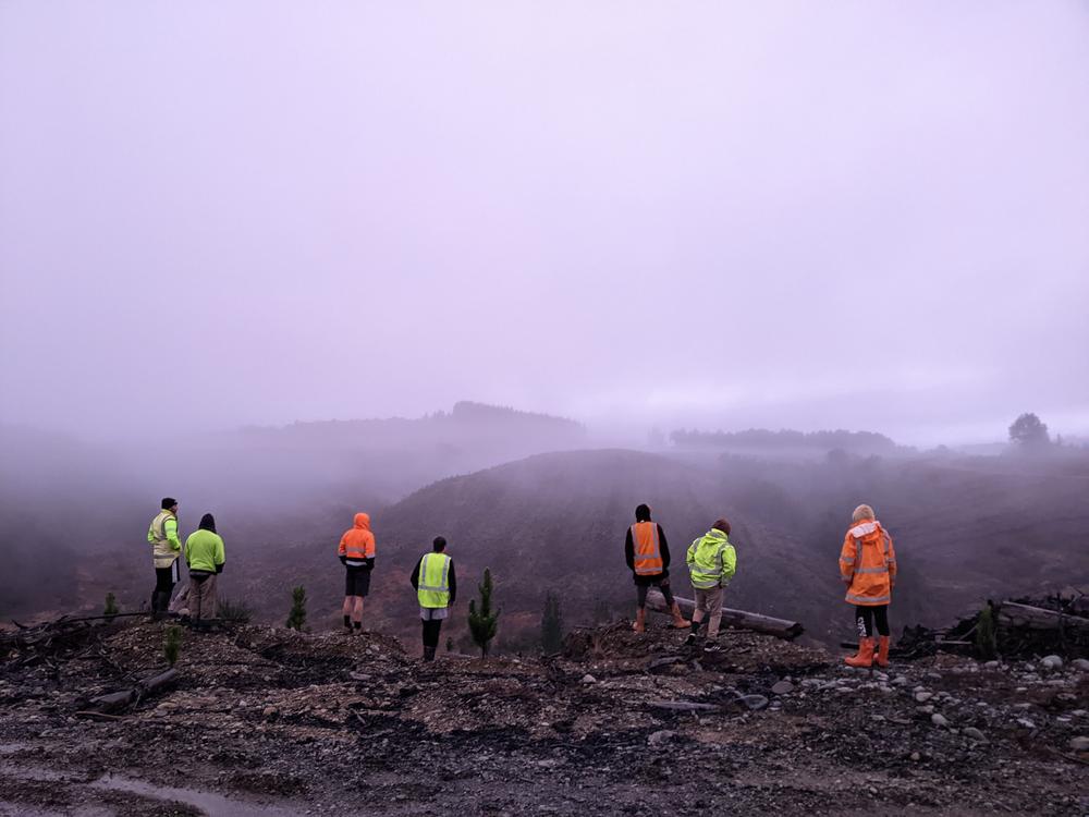 Seven planters, atop a hill, surveying the work to be done.