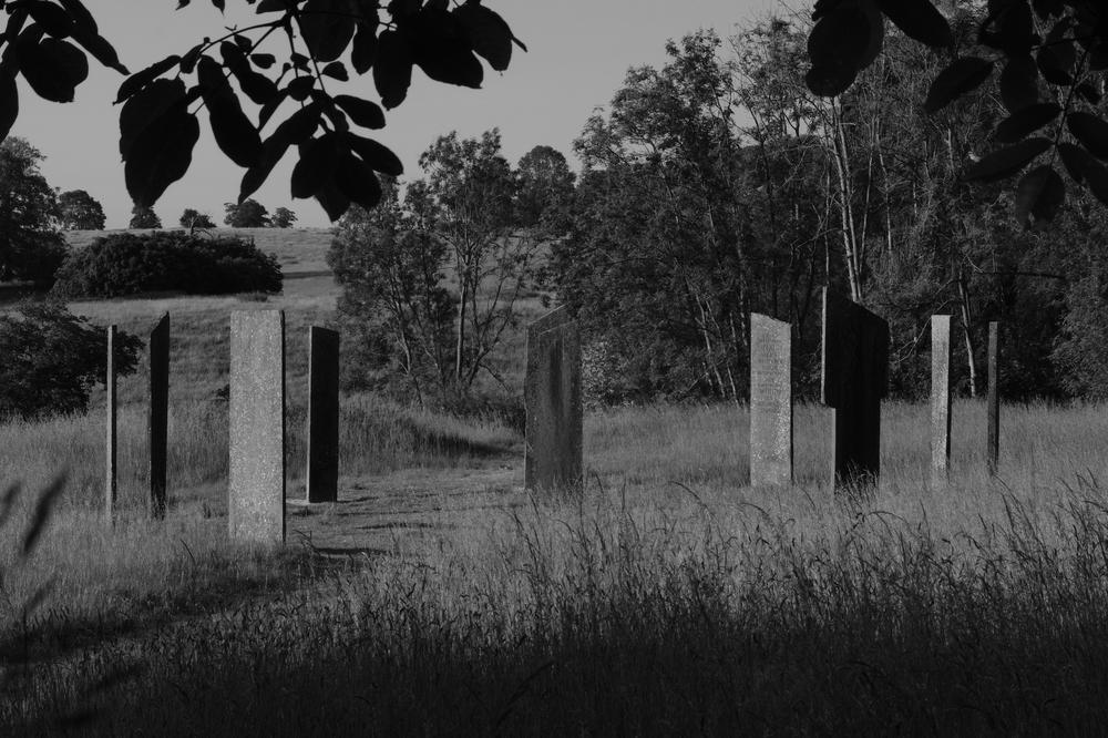 The Millenium Stones at Gatton Park