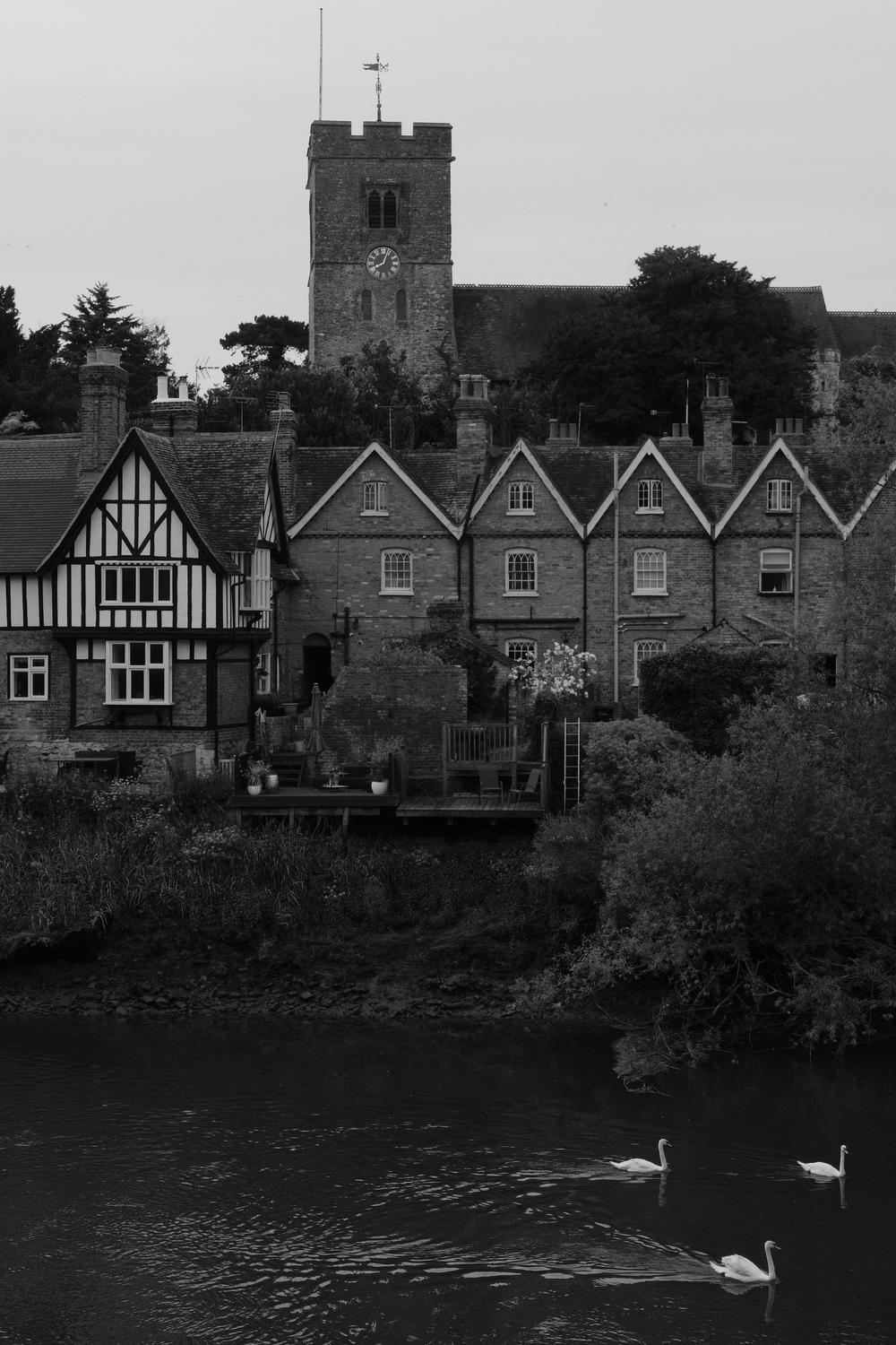 Three swans paddle down river against a backdrop of terraced tudor houses and a simple church