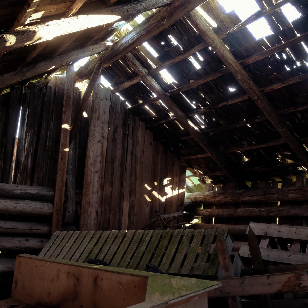 The morning light streaming in through great big holes in the roof of a shed I spent the night in, sleeping atop a big pile of old furniture. Austria 