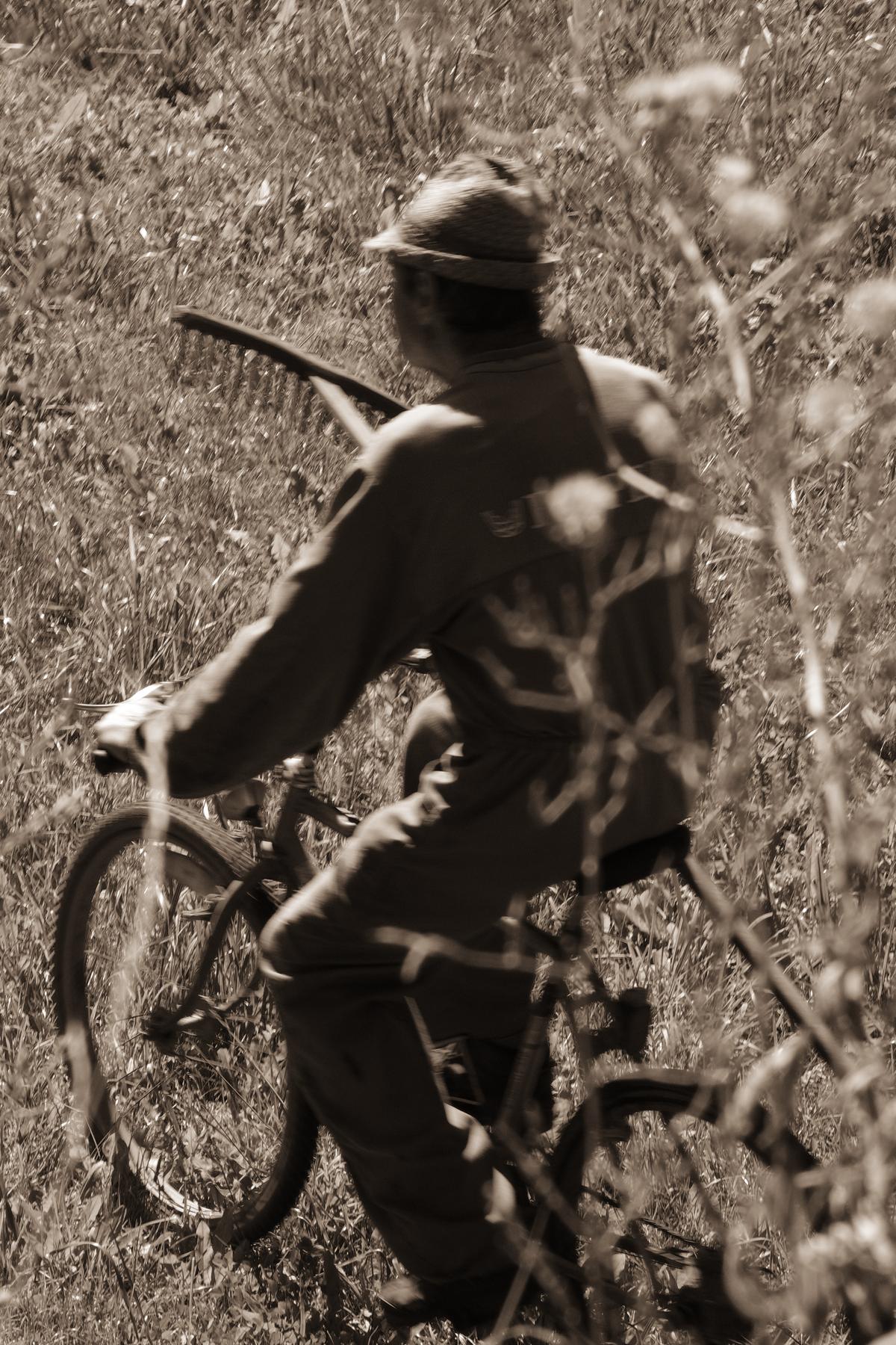 An elderly man cycles clowly through a field, carrying a rake for pulling all the cut grass together. Italy