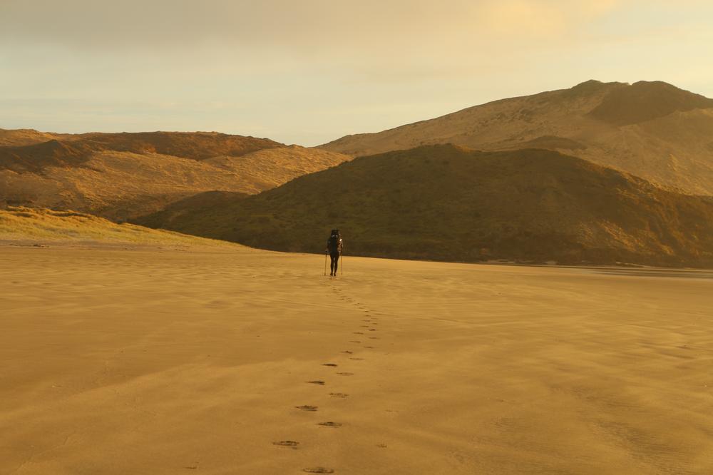 Foot steps visible in the sand, Rose distant.