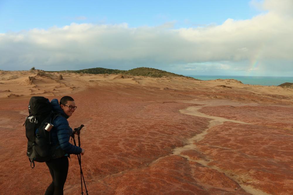 Looking out over the dark red terrain toward Cape Maria Van Diemen.