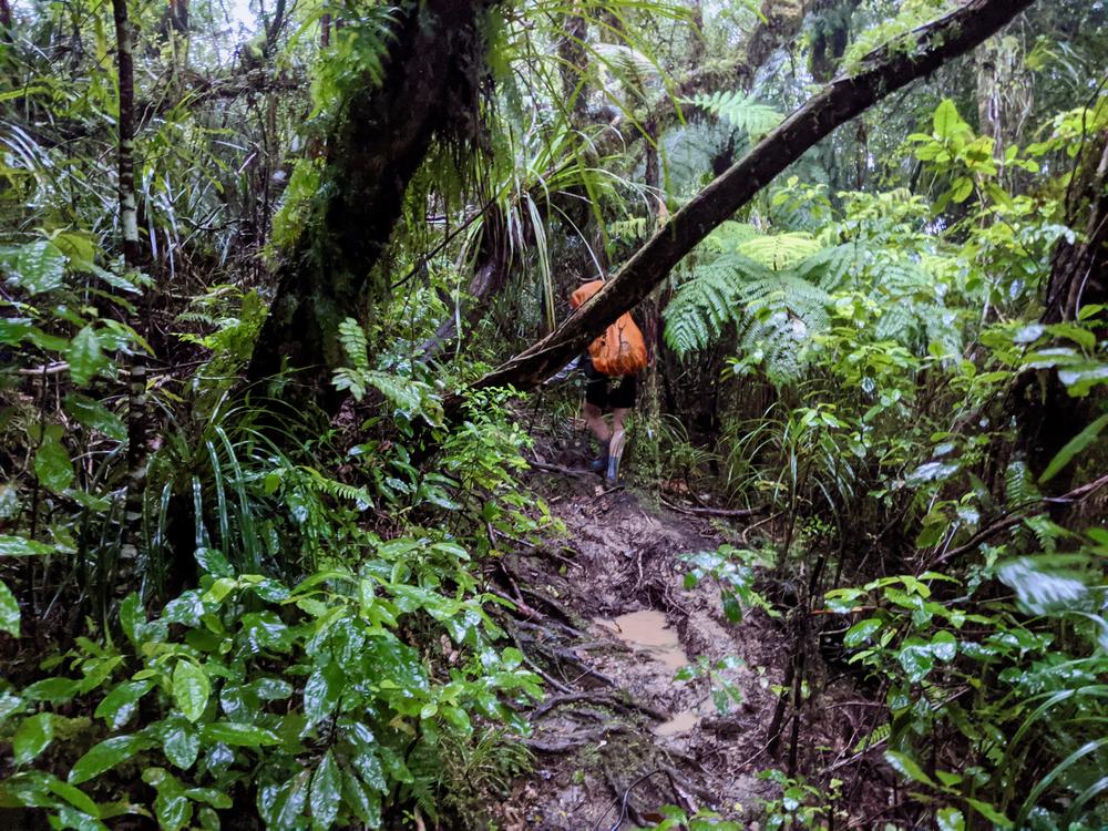 Rose negotiates a path of knee deep mud.